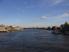 IMG_0350