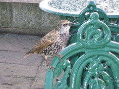 IMG_0358