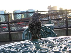 IMG_0361