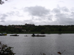 IMG_0452