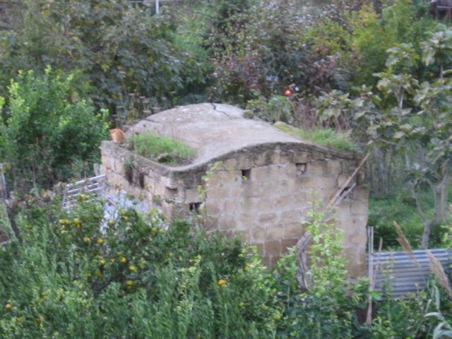 IMG_0625.JPG