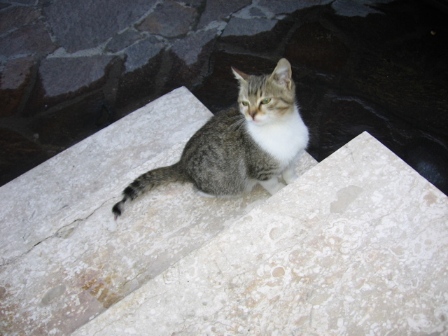 IMG_0641.JPG
