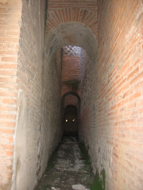 IMG_0895.JPG