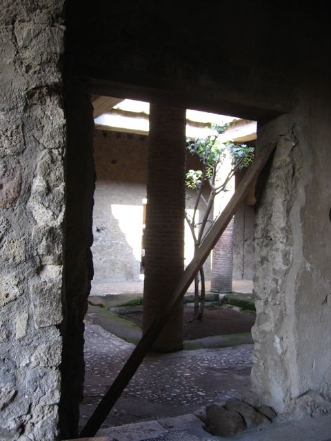 IMG_0950.JPG