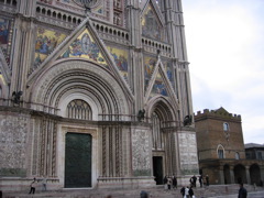 IMG_0572