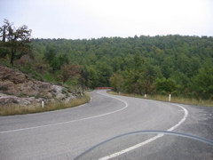 IMG_0584.JPG