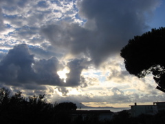 IMG_0620.JPG