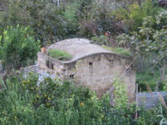 IMG_0625.JPG