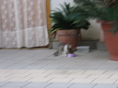 IMG_0639.JPG