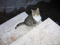 IMG_0641.JPG