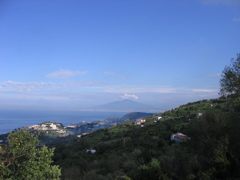 IMG_0651.JPG