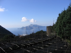 IMG_0656.JPG
