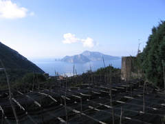 IMG_0657.JPG