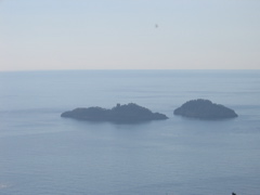 IMG_0663.JPG