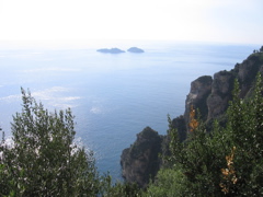 IMG_0664.JPG