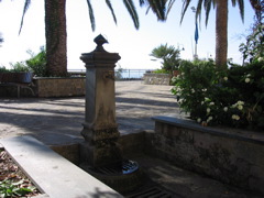 IMG_0687.JPG