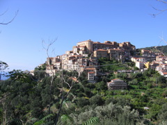 IMG_0691.JPG