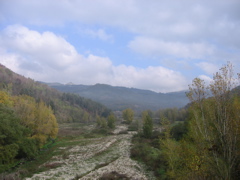 IMG_0708.JPG