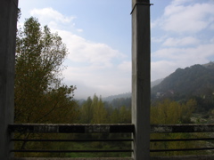 IMG_0709.JPG