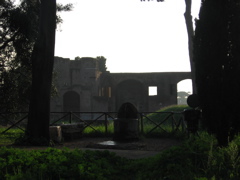IMG_0761.JPG