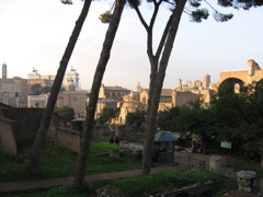 IMG_0764.JPG