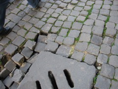 IMG_0767.JPG