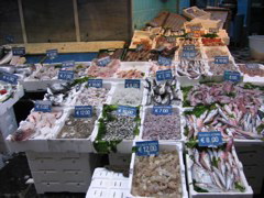 IMG_0789.JPG