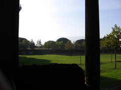 IMG_0849.JPG