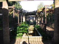 IMG_0850.JPG