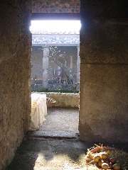 IMG_0853.JPG