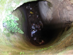 IMG_0855.JPG