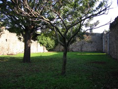 IMG_0859.JPG