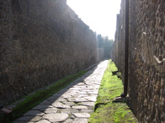 IMG_0870.JPG