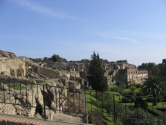 IMG_0884.JPG