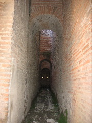 IMG_0895.JPG