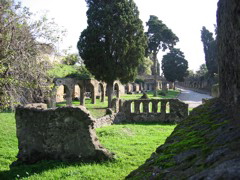 IMG_0945.JPG