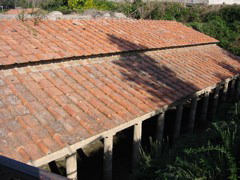 IMG_0947.JPG