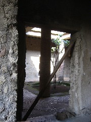IMG_0950.JPG