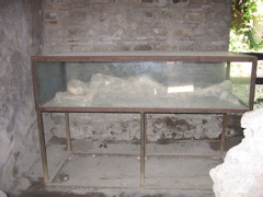 IMG_0952.JPG