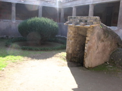 IMG_0955.JPG