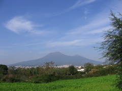 IMG_0970.JPG