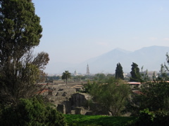 IMG_0971.JPG