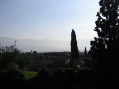 IMG_0972.JPG