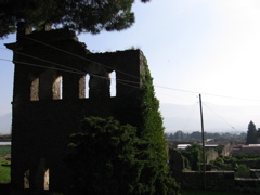 IMG_0974.JPG