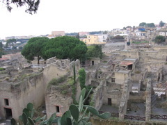 IMG_1012.JPG