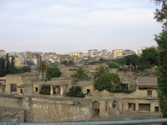 IMG_1013.JPG