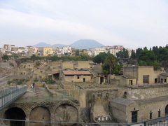 IMG_1014.JPG