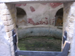 IMG_1029.JPG