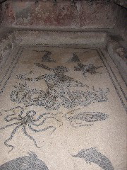 IMG_1034.JPG