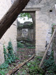 IMG_1047.JPG